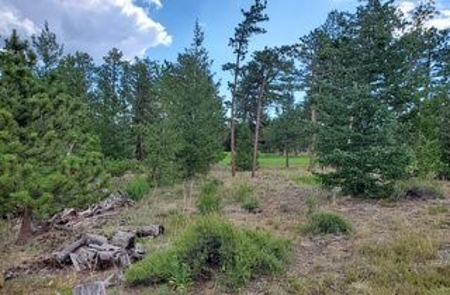 A Beautiful Lot in Fox Acres Country Club - image 8