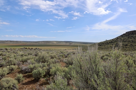 Eastern Oregon Weaver Springs Farm - image 3