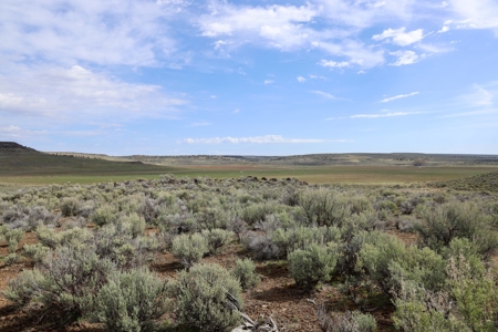Eastern Oregon Weaver Springs Farm - image 11