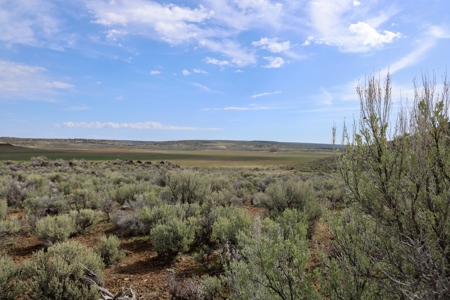 Eastern Oregon Weaver Springs Farm - image 8