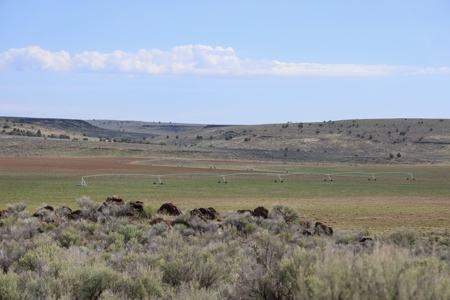 Eastern Oregon Weaver Springs Farm - image 12