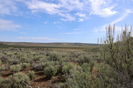 Eastern Oregon Weaver Springs Farm - image 7