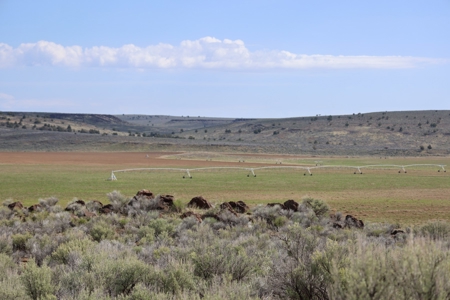Eastern Oregon Weaver Springs Farm - image 19