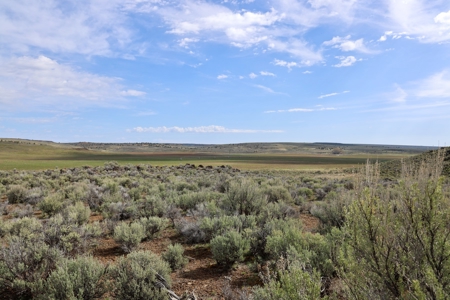 Eastern Oregon Weaver Springs Farm - image 6