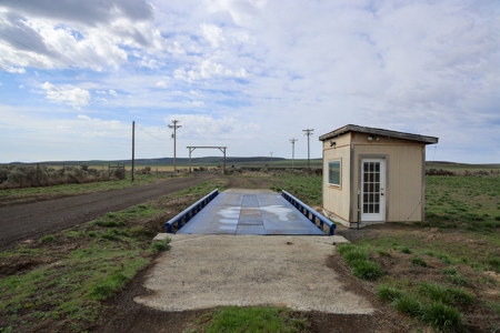 Eastern Oregon Weaver Springs Farm - image 2