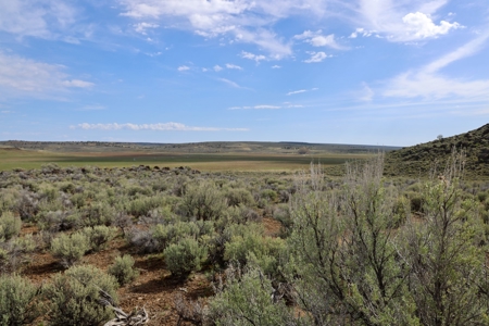 Eastern Oregon Weaver Springs Farm - image 4