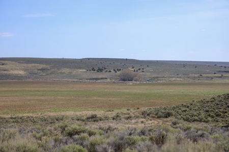 Eastern Oregon Weaver Springs Farm - image 16