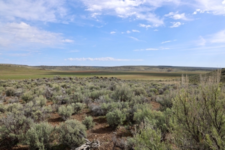 Eastern Oregon Weaver Springs Farm - image 5