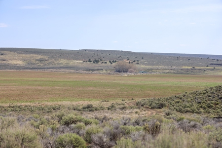 Eastern Oregon Weaver Springs Farm - image 18