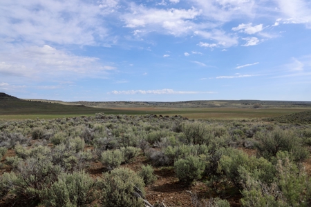 Eastern Oregon Weaver Springs Farm - image 10
