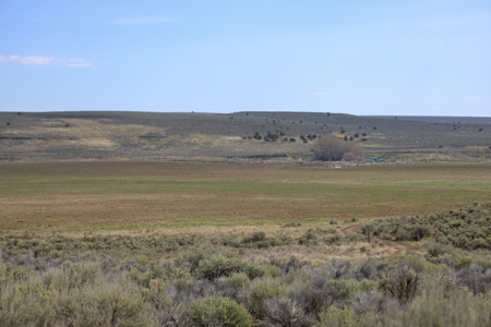 Eastern Oregon Weaver Springs Farm - image 13