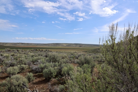 Eastern Oregon Weaver Springs Farm - image 9