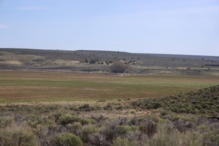 Eastern Oregon Weaver Springs Farm - image 17