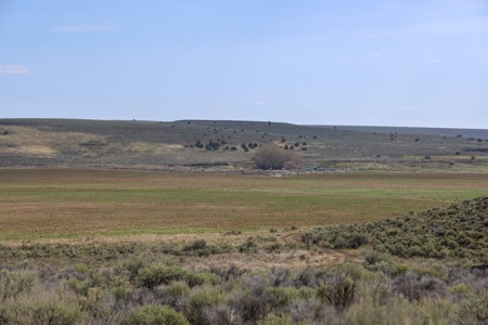 Eastern Oregon Weaver Springs Farm - image 14