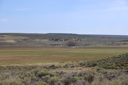 Eastern Oregon Weaver Springs Farm - image 15