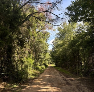East TX Sustainable Solar Off Grid Barndominium with Land - image 49