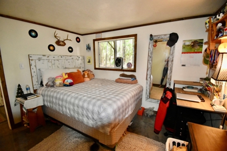 East TX Sustainable Solar Off Grid Barndominium with Land - image 26