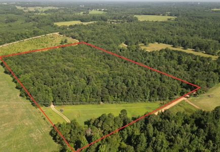 East TX Sustainable Solar Off Grid Barndominium with Land - image 3