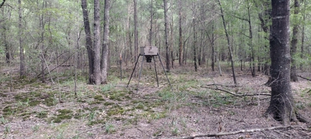 East TX Sustainable Solar Off Grid Barndominium with Land - image 45