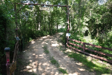 East TX Sustainable Solar Off Grid Barndominium with Land - image 2