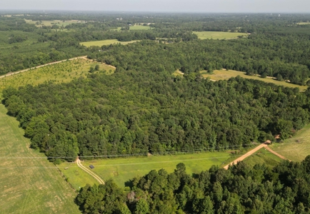 East TX Sustainable Solar Off Grid Barndominium with Land - image 4