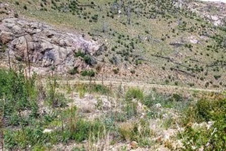 Camp or Build on Your Secluded Lot - image 8
