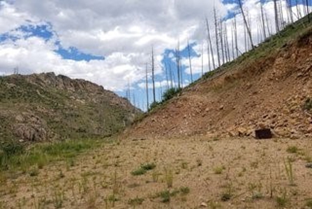Camp or Build on Your Secluded Lot - image 3