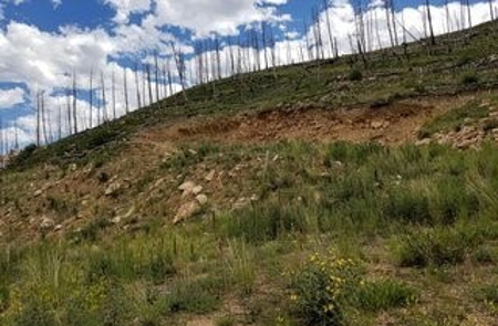 Camp or Build on Your Secluded Lot - image 10