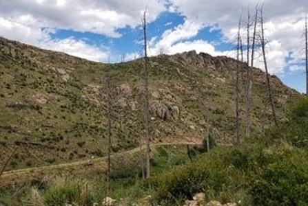 Camp or Build on Your Secluded Lot - image 4