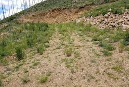 Camp or Build on Your Secluded Lot - image 2
