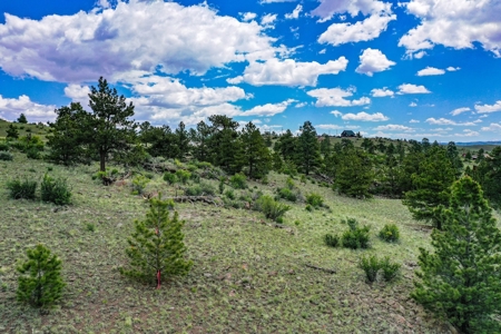 Mountain Oasis In Ranch Of The Rockies - image 38