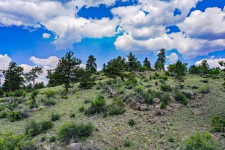 Mountain Oasis In Ranch Of The Rockies - image 37