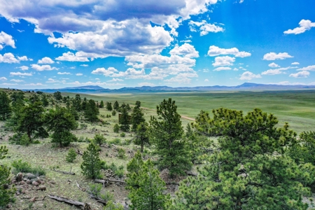 Mountain Oasis In Ranch Of The Rockies - image 35