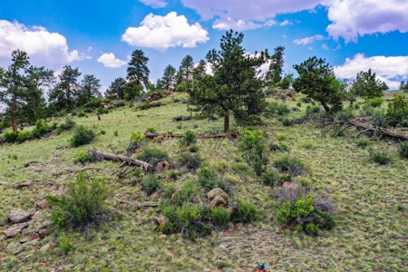 Mountain Oasis In Ranch Of The Rockies - image 47