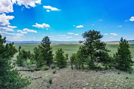 Mountain Oasis In Ranch Of The Rockies - image 18