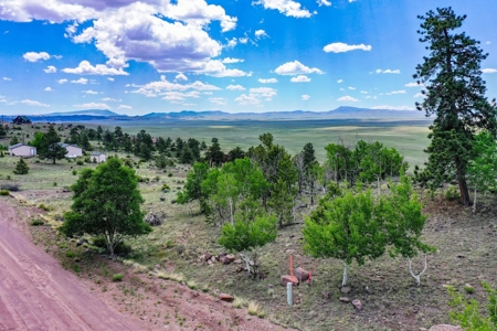 Mountain Oasis In Ranch Of The Rockies - image 10