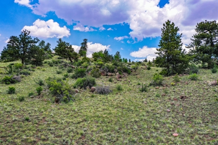 Mountain Oasis In Ranch Of The Rockies - image 45