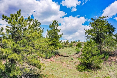 Mountain Oasis In Ranch Of The Rockies - image 28