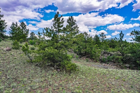 Mountain Oasis In Ranch Of The Rockies - image 44