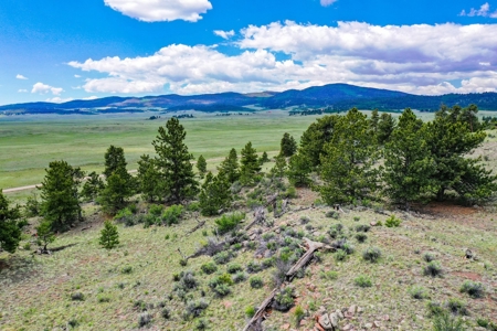 Mountain Oasis In Ranch Of The Rockies - image 1
