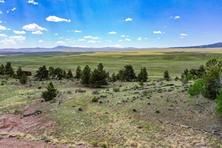Mountain Oasis In Ranch Of The Rockies - image 12