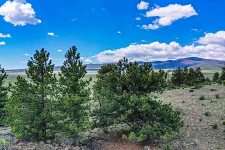 Mountain Oasis In Ranch Of The Rockies - image 24