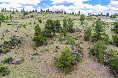 Mountain Oasis In Ranch Of The Rockies - image 42