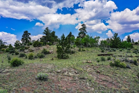 Mountain Oasis In Ranch Of The Rockies - image 33