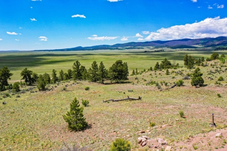 Mountain Oasis In Ranch Of The Rockies - image 14