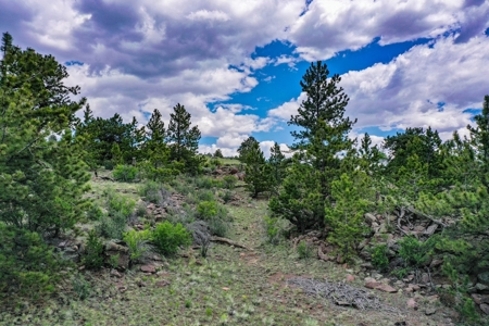 Mountain Oasis In Ranch Of The Rockies - image 41