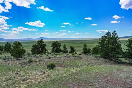 Mountain Oasis In Ranch Of The Rockies - image 22