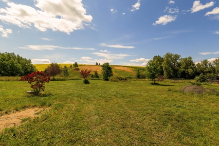 Newer Home on Property with so many Opportunities!! - image 35