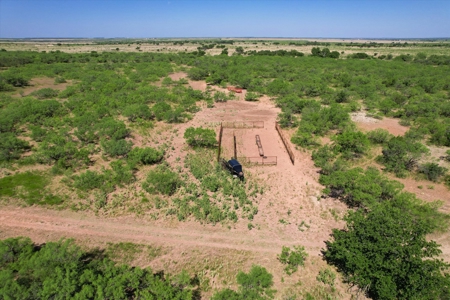 3 Guns Ranch - Exceptional 691-Acre High Fence Property - image 15
