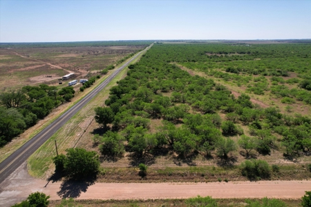 3 Guns Ranch - Exceptional 691-Acre High Fence Property - image 13